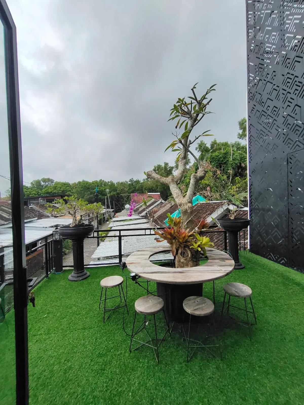Rooftop Bonsai
